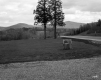 Fernandez Property, Parking Area