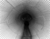Culvert Interior