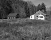 Davis House