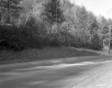 Davis Property, Forested Hills