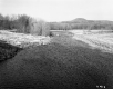 Smith Property, Winding Creek