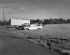 Bushey Property, Field and Forest