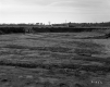Bushey Property, Excavated Field