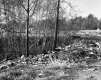 Bushey Property, Excavated Field