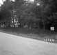 Barton Property, Forest View