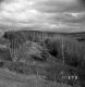 Barrett Property, Rolling Hills and Mountain View