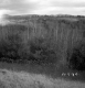 Barrett Property, Rolling Hills and Mountain View