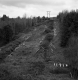 Barrett Property, Logging on Forested Slope