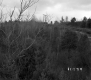 Barrett Property, Logging on Forested Slope
