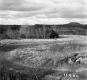 Barrett Property, Field and Rolling Hills