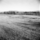 Dingler Property, Open Field