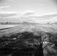 Dingler Property, Open Field