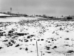 Brouilette Property, Snow-Covered Fields
