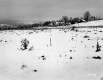 Brouilette Property, Fenced Farm Fields