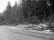 Fitzgerald Property, Forest View