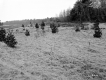Gonyeau Property, Field and Forest