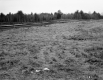 Gonyeau Property, Field and Forest