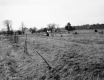 Gonyeau Property, Fenced Fields