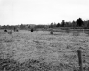 Gonyeau Property, Fenced Fields