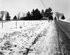 Hall Property, Fenced Field