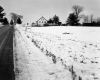 Hedenberg Property, Snow-Covered Field