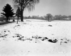 Delair Property, Snow-Covered Field