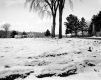 Delair Property, Snow-Covered Field