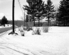 Ibey Property, Snow-Covered Field