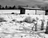 Hutchinson Property, Snow-Covered Farm Fields