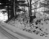 Smith Property, Tree-Covered Hill along Highway