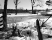 Tofani Property, Fenced Fields