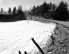 Tofani Property, Fenced Field along Highway