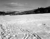Tofani Property, Snow-Covered Field
