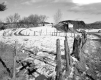 Tofani Property, Fenced Fields