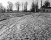 Devarney Property, Muddy Field and Corn Stubble