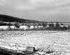 Sportsman's Club of Franklin County, Inc., Snow-Covered Fields