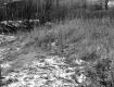 Sportsman's Club of Franklin County, Inc., Snow-Covered Fields