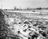 Sportsman's Club of Franklin County, Inc., Snow-Covered Fields