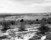 Tarte Property, Farm Fields