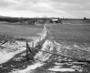 Tarte Farmstead