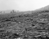 Allaire Property, Farm Fields