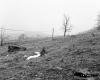 Allaire Property, Farm Fields