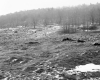 Allaire Property, Field and Forested Hill