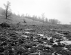 Allaire Property, Farm Fields