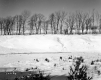 Dussault Property, Snow-Covered Field