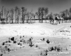Dussault Property, Snow-Covered Field