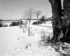 Dussault Property, Fenced Farm Fields