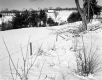 Dussault Property, Fenced Farm Fields