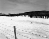 Dussault Property, Fenced Farm Fields