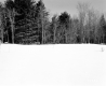 Cheeseman Property, Snow-Covered Field and Forest